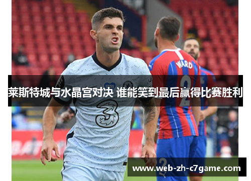 莱斯特城与水晶宫对决 谁能笑到最后赢得比赛胜利 莱斯特城与水晶宫对决 谁能笑到最后赢得比赛胜利